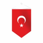 Beşgen Takdim Türk Bayrağı 25x35 cm