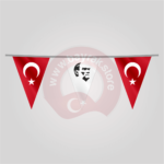 türk-bayrağı-atatürk-silüet-ipe-dizili