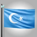 Doğu Türkistan Bayrağı