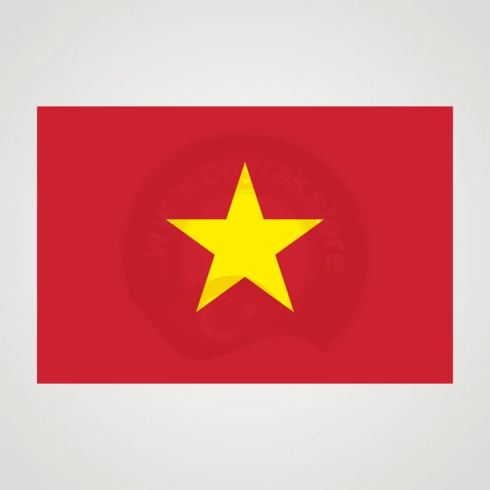Vietnam Makam Bayrağı Görsel 2